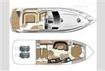 Fairline Targa 38 - Layout Image