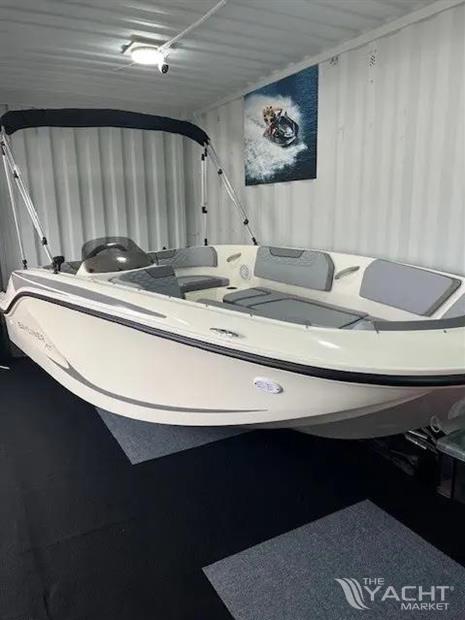 Bayliner Element M15