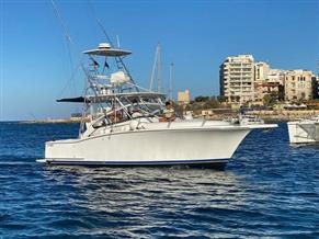 Luhrs 31 Open Fisherman