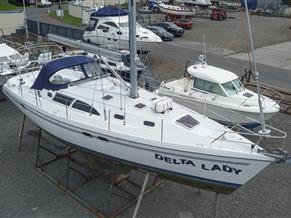 Catalina 387