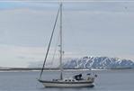 Seastream 43