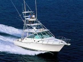 Cabo 35 Express