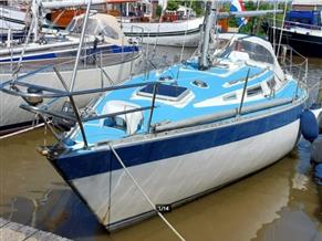 WAUQUIEZ GLADIATEUR 33