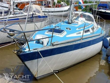 WAUQUIEZ GLADIATEUR 33