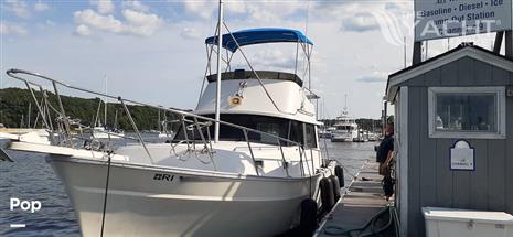 Mainship 34 - 1981 Mainship 34 - Photo #1