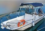 BOSTON WHALER MONTAUK 17