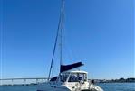 Leopard 43
