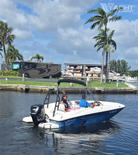 Bayliner Element 16 - 2020 Bayliner Element 16 boat cruising on a sunny day near palm trees.