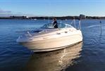 Sea Ray 240 Sundancer