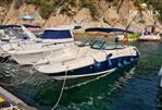 Sea Ray 300 Sundeck - Picture 2