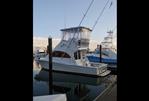 Luhrs 34 Convertible