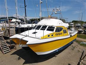 Safehaven Wildcat 40