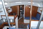 Steel Robert Tucker Leopard 32