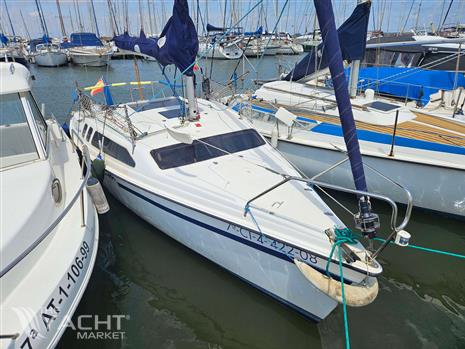 HUNTER HUNTER 235