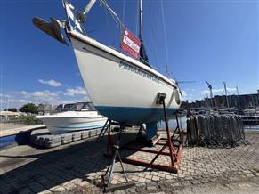 Westerly Cirrus