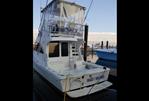 Luhrs 34 Convertible