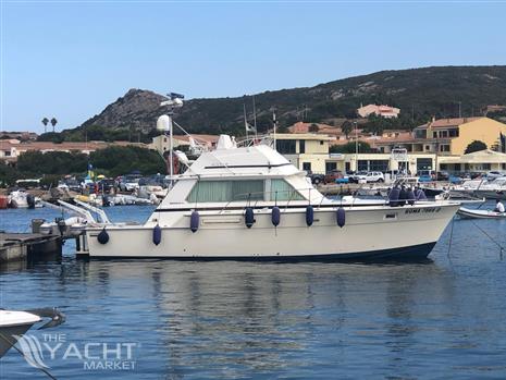 Bertram Yacht Bertram 42&#39; Convertible - WhatsApp Image 2024-10-31 at 18.25.03 (3)