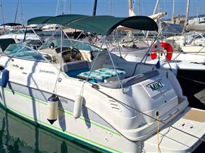 SEA RAY SUNDANCER 260