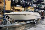 RINKER RINKER 276 CAPTIVA CUDDY