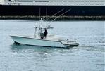 SeaVee IPS