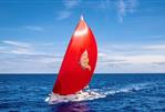 Dufour Dufour 46 - Used Sail Monohull for sale