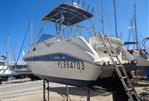 SEA RAY SUNDANCER 250