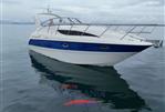 BAYLINER BAYLINER 305