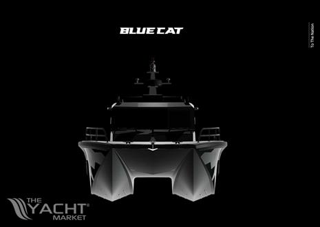 Blue Cat 43 Pilothouse