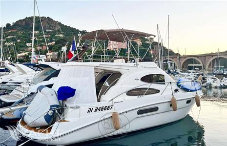 SEALINE SEALINE F37