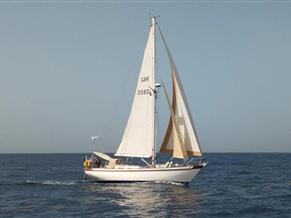 Tradewind 35