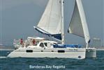 Catana 431