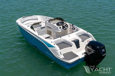 bayliner element 17