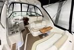 Sea Ray Sundancer 310