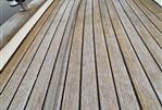 HALLBERG RASSY HALLBERG RASSY 36