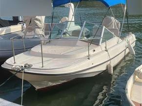 BOSTON WHALER REVENGE 19