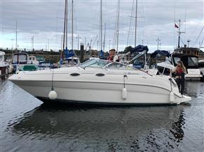 Sea Ray 240 Sundancer