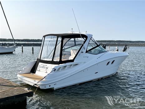 Sea Ray Sundancer 310