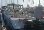 BOSTON WHALER CONQUEST 305