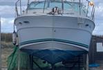 Sea Ray 340 Sundancer - Picture 5