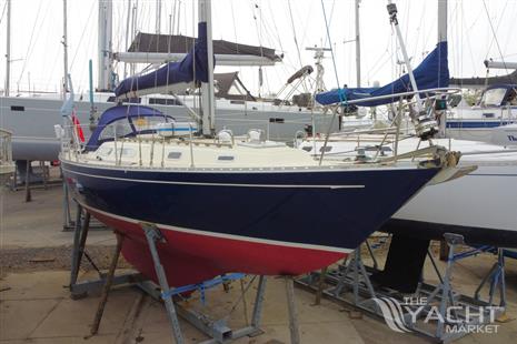 Rustler 36
