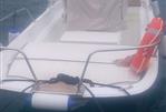 BOSTON WHALER MONTAUK 17