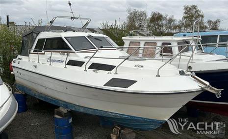 Colvic SUNQUEST 29