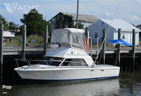 Phoenix 29 Flybridge Cruiser - 1979 Phoenix 29 Flybridge Cruiser - Photo #1