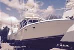 Blackfin 36 Combi