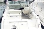 BAYLINER BAYLINER 2355 CIERA SUNBRIDGE