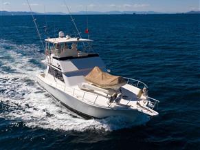 Viking 53 Convertible