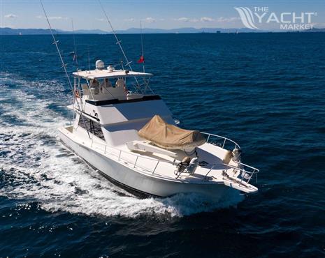 Viking 53 Convertible