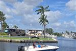 Bayliner Element 16 - 2020 Bayliner Element 16 boat cruising on a sunny day in a marina.