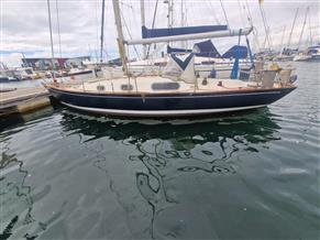 Contessa 26