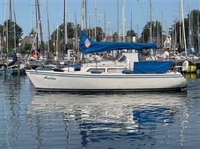 Catalina 270